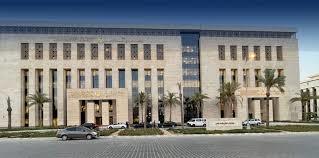 التعليم العالي في مصر: جسر نحو المستقبل